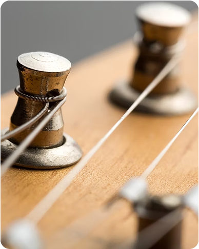 Electric Guitars and Basses